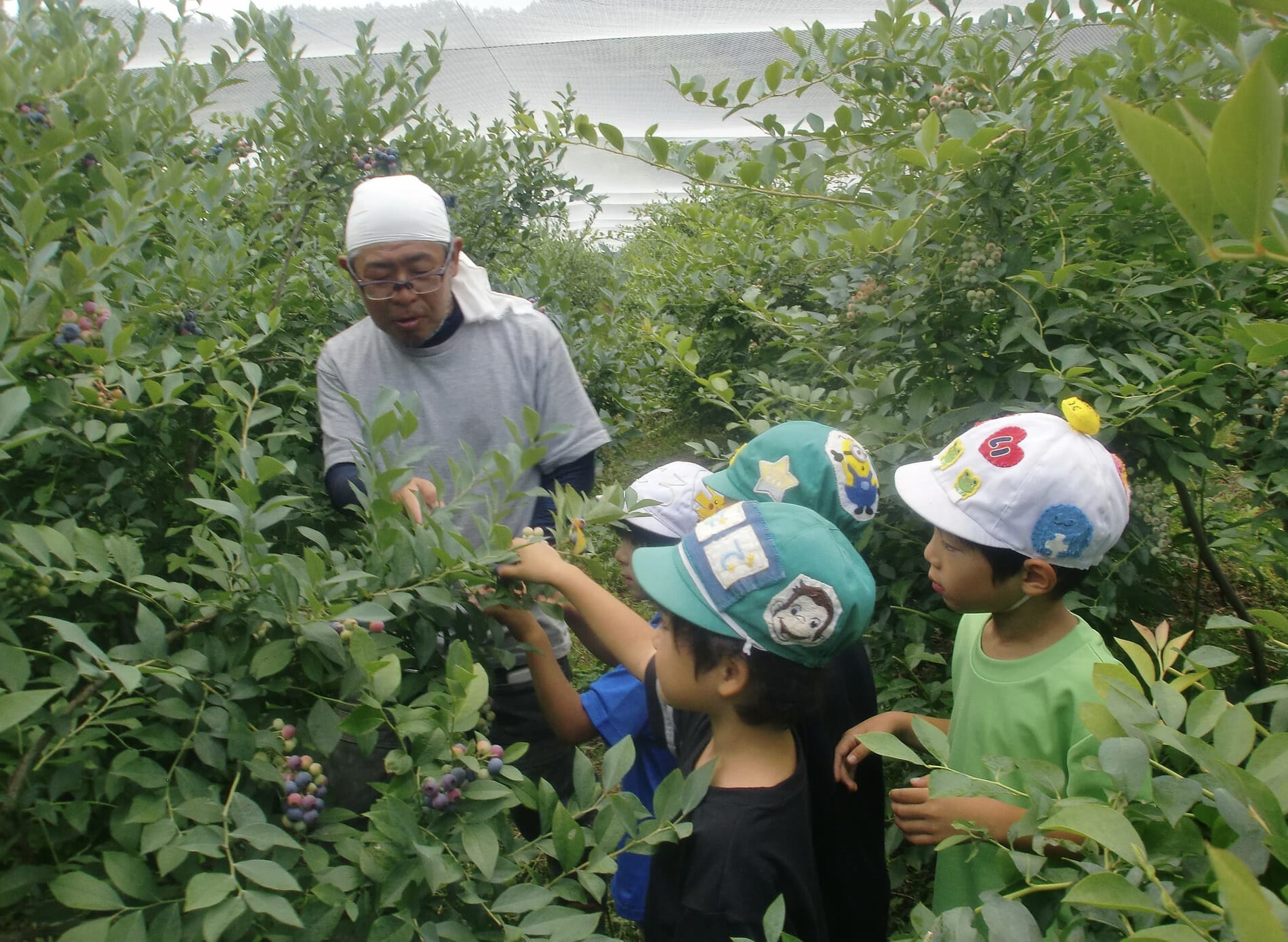 丹波篠山 伝田農産