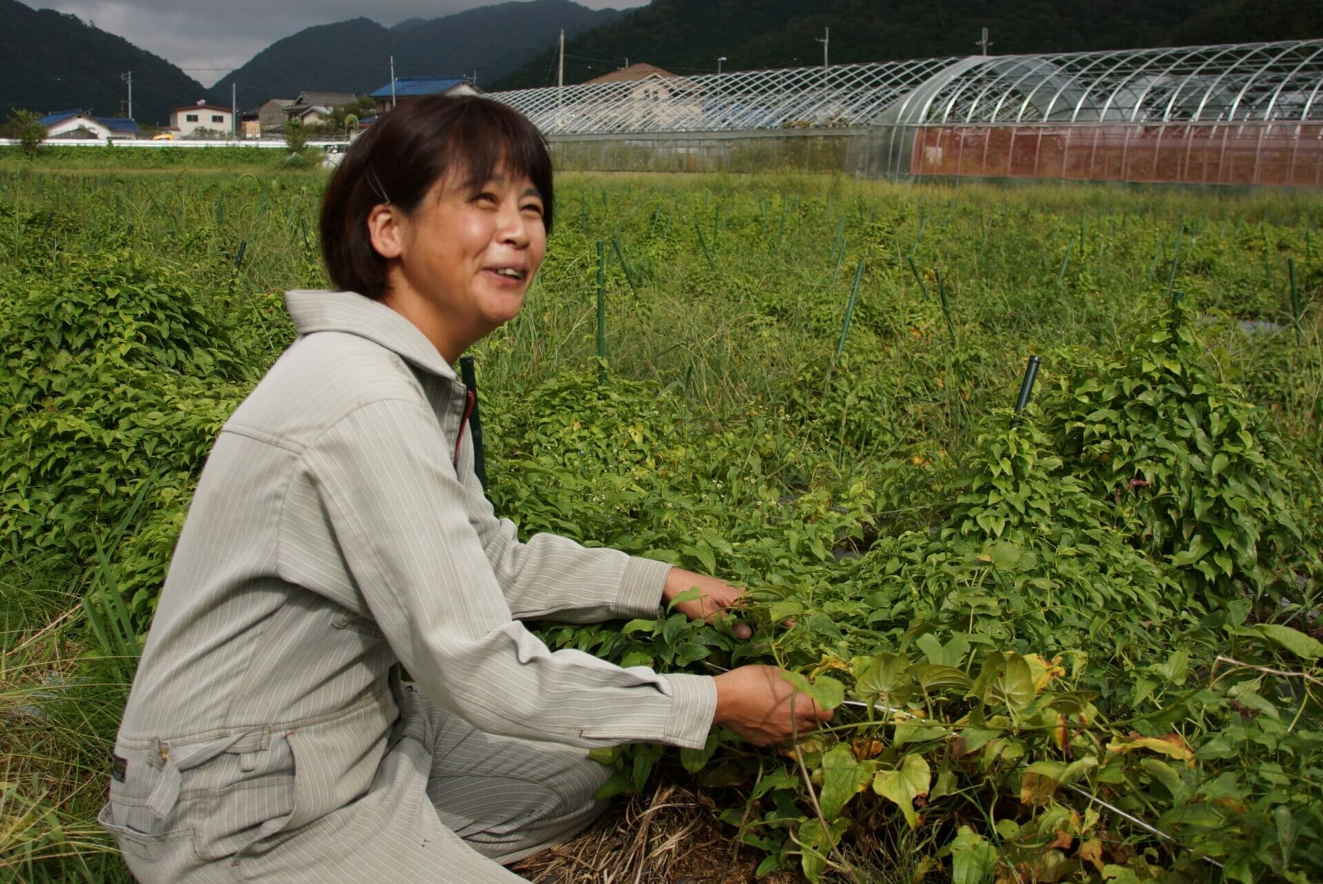 農業はじめの一歩6