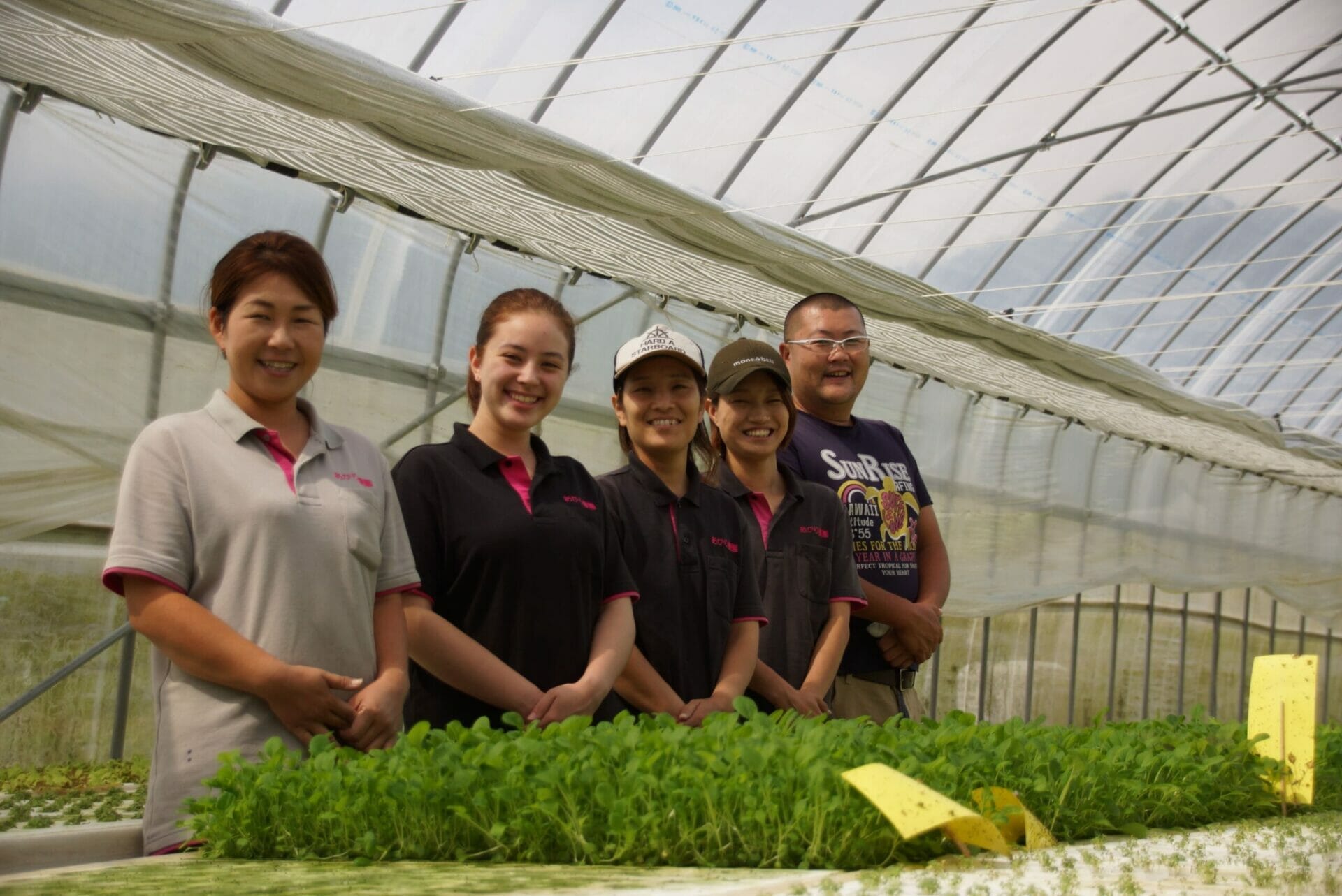 農業はじめの一歩7