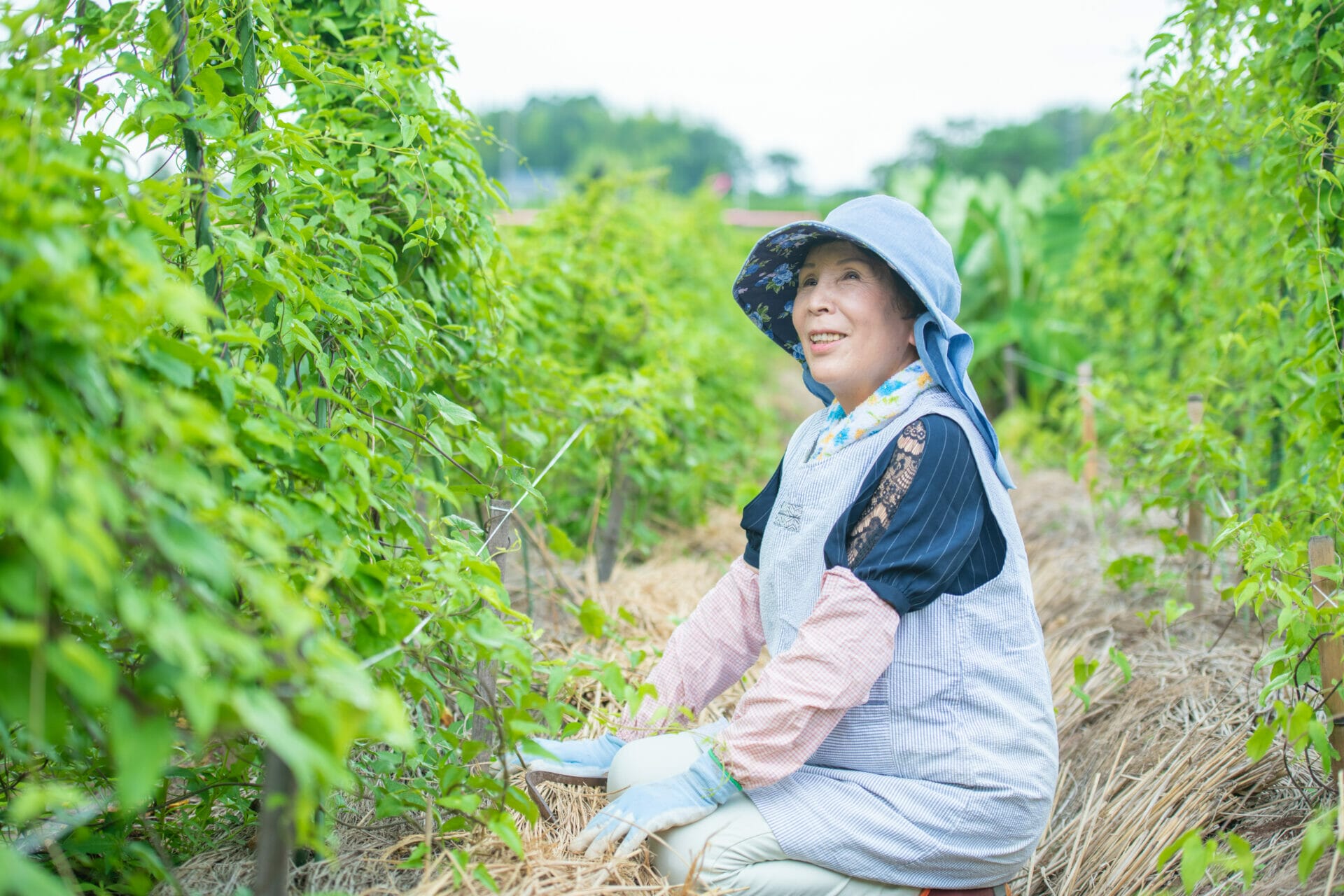 農業はじめの一歩13