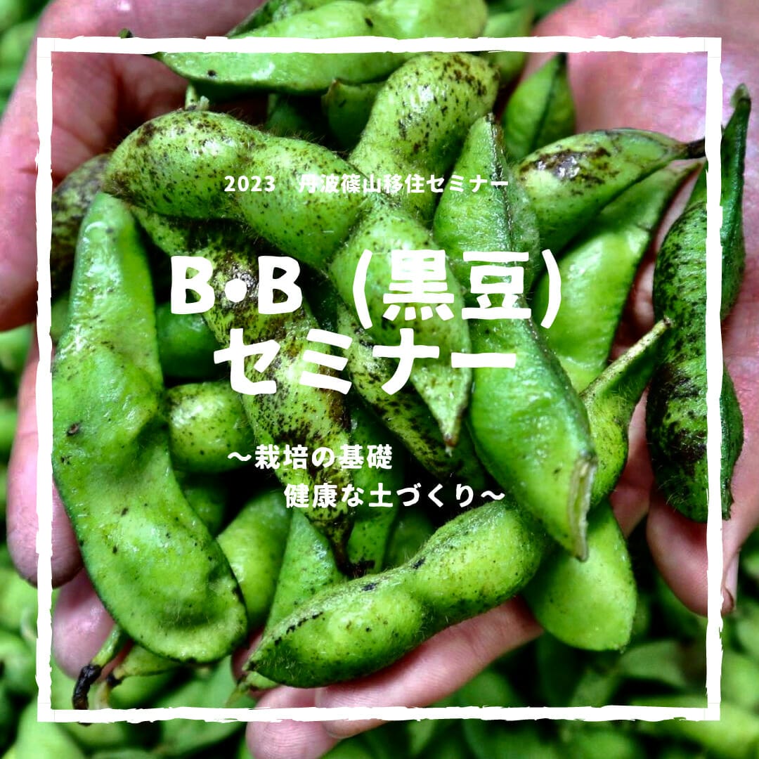 B・B（黒豆）セミナー開催のお知らせと参加者募集！