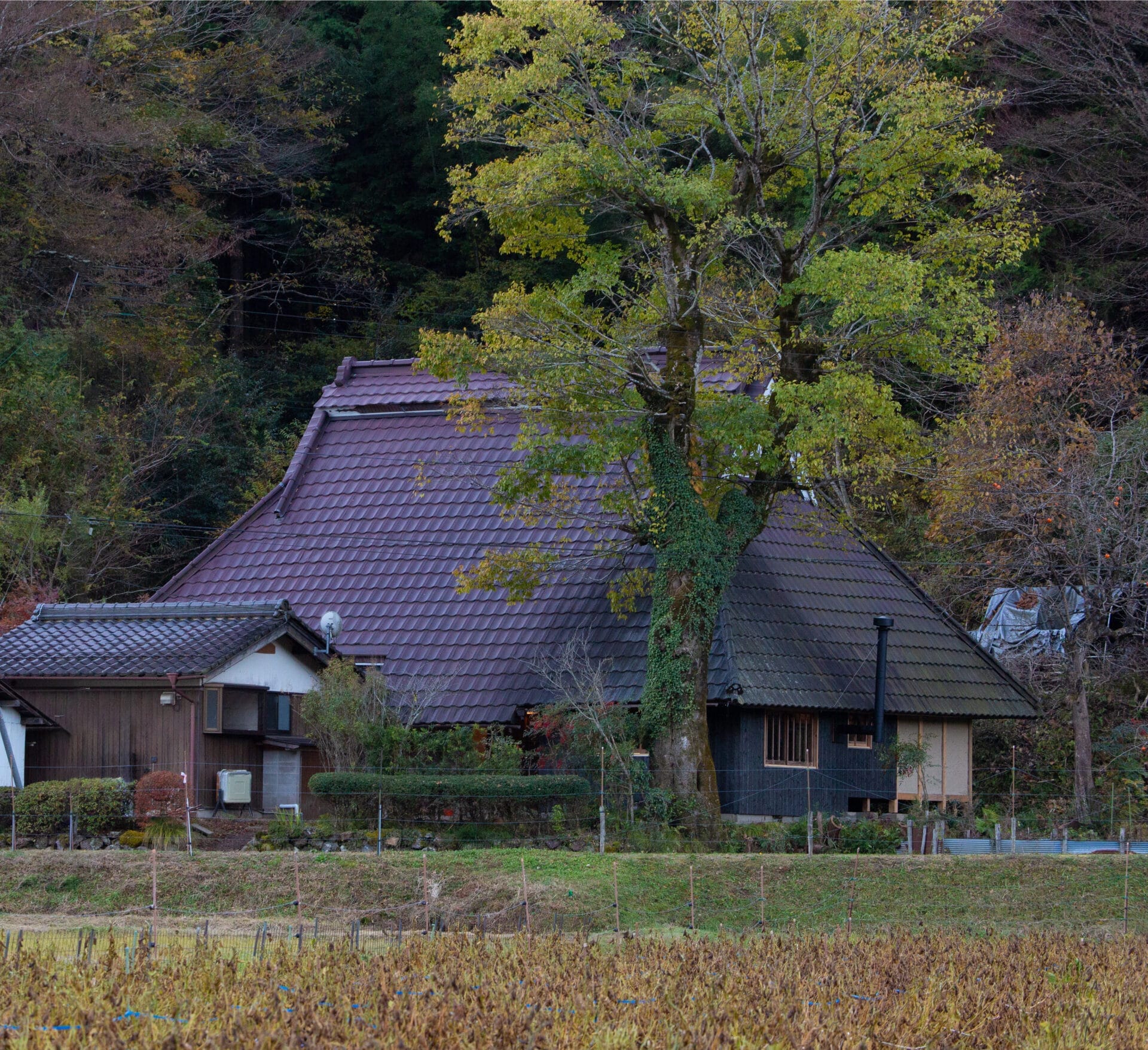 民話の里市野々 旧西村家