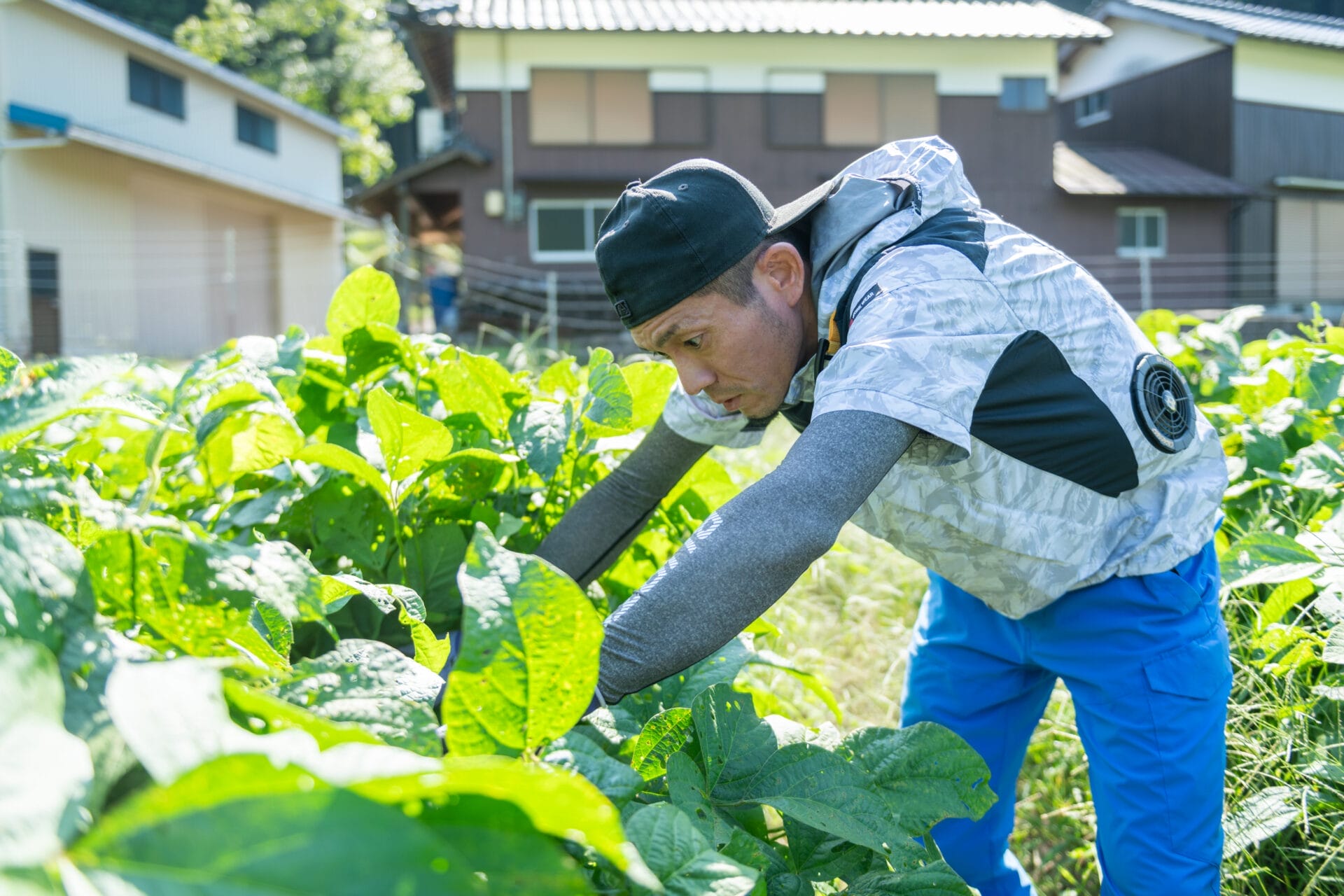 大葉農園 DSC_0552.jpg?strip=all